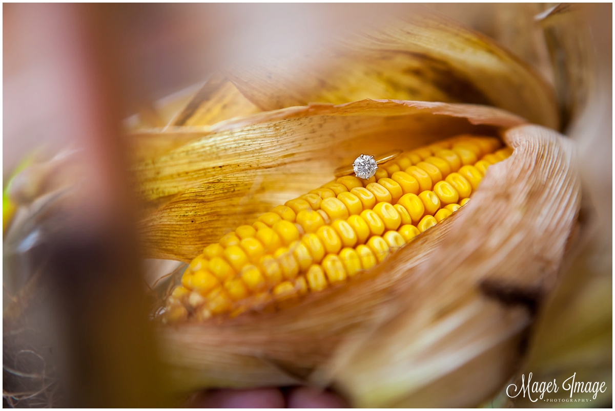 engagement ring in corn fall clean