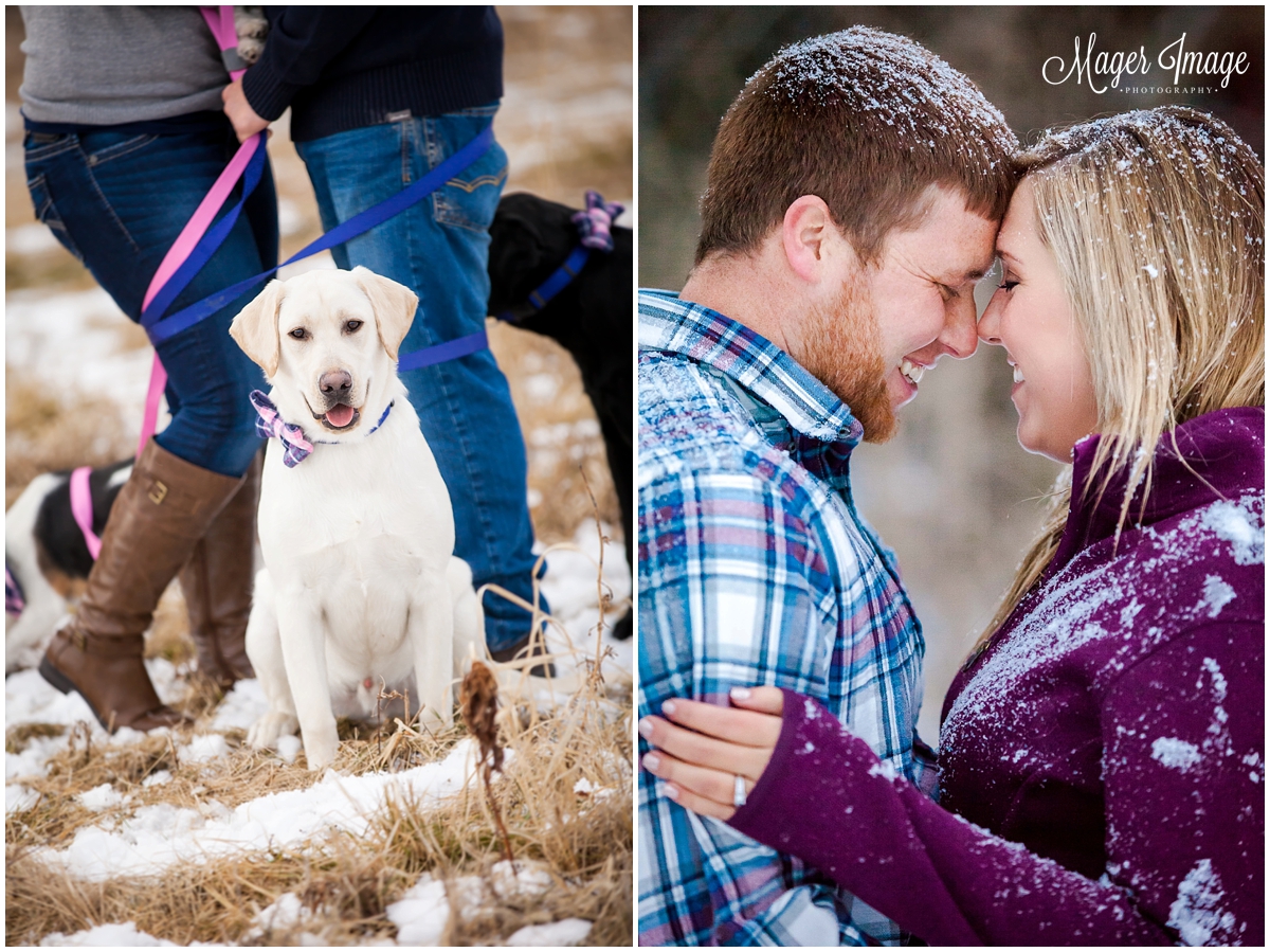 engagement session with furry babies dogs
