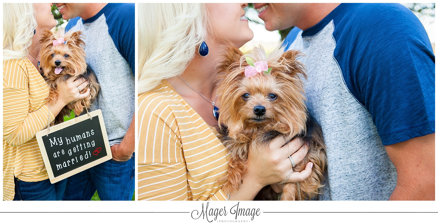 dog engagement session love family fur baby