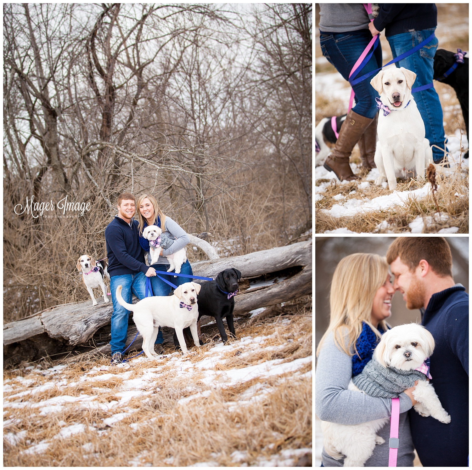 dogs engagement photos pics winter green acres roberts illinois