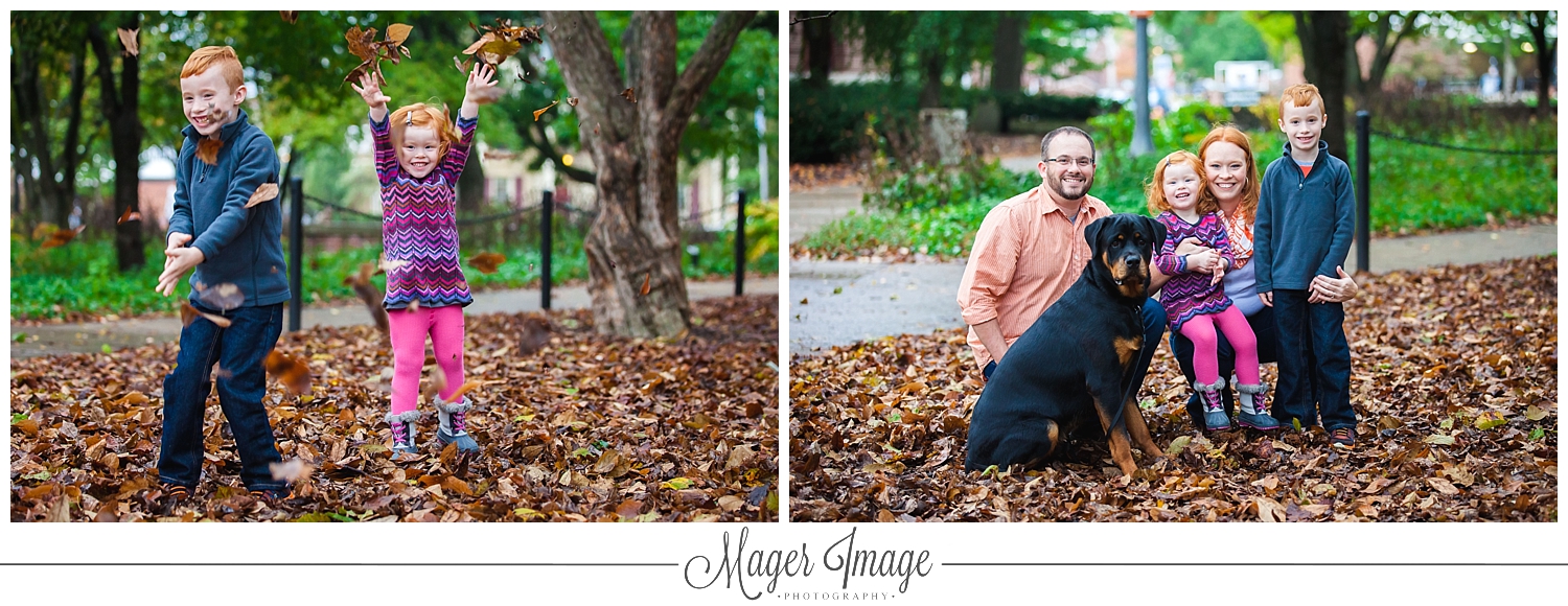 family session with rotweiler dog fall leaves u of i campus