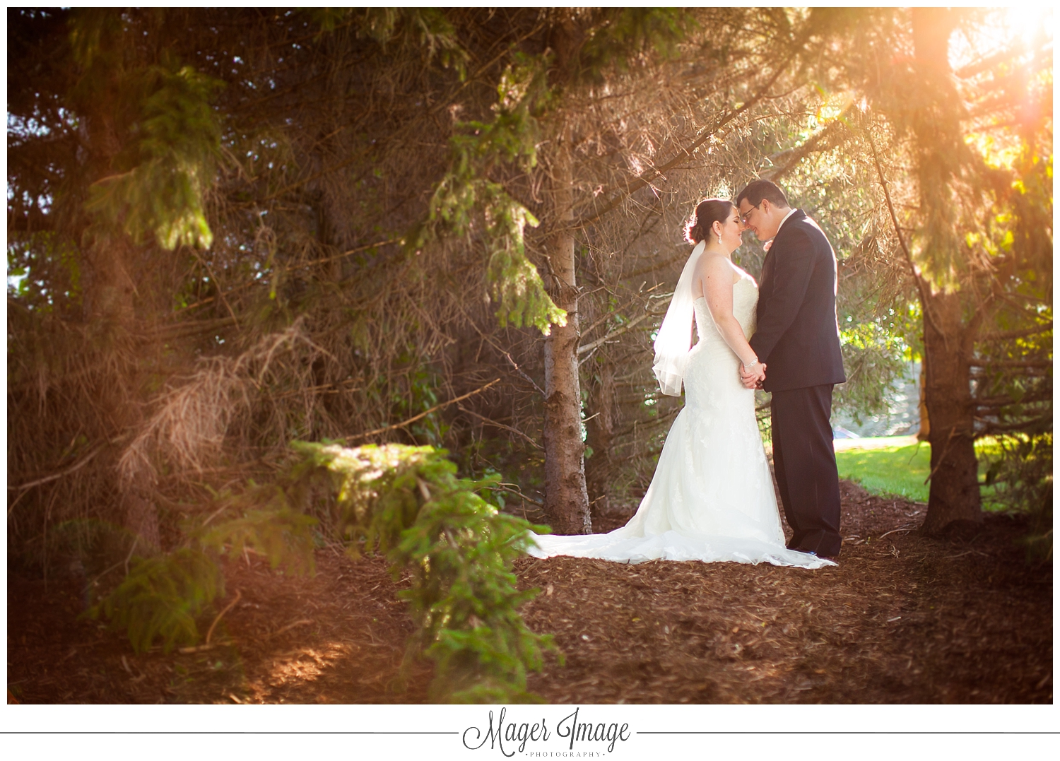 pear tree estate wedding photographer champaign illinois