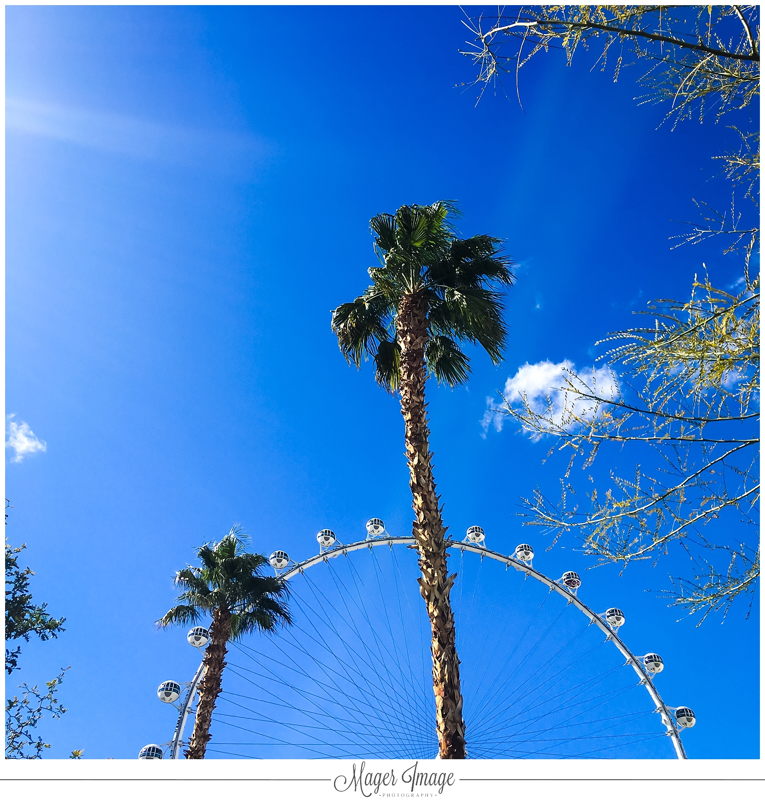 high roller photo vegas palm trees