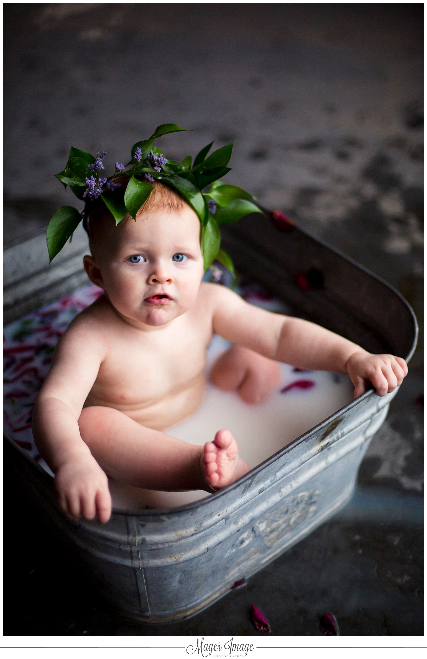 milk bath illinois photographer baby indoor