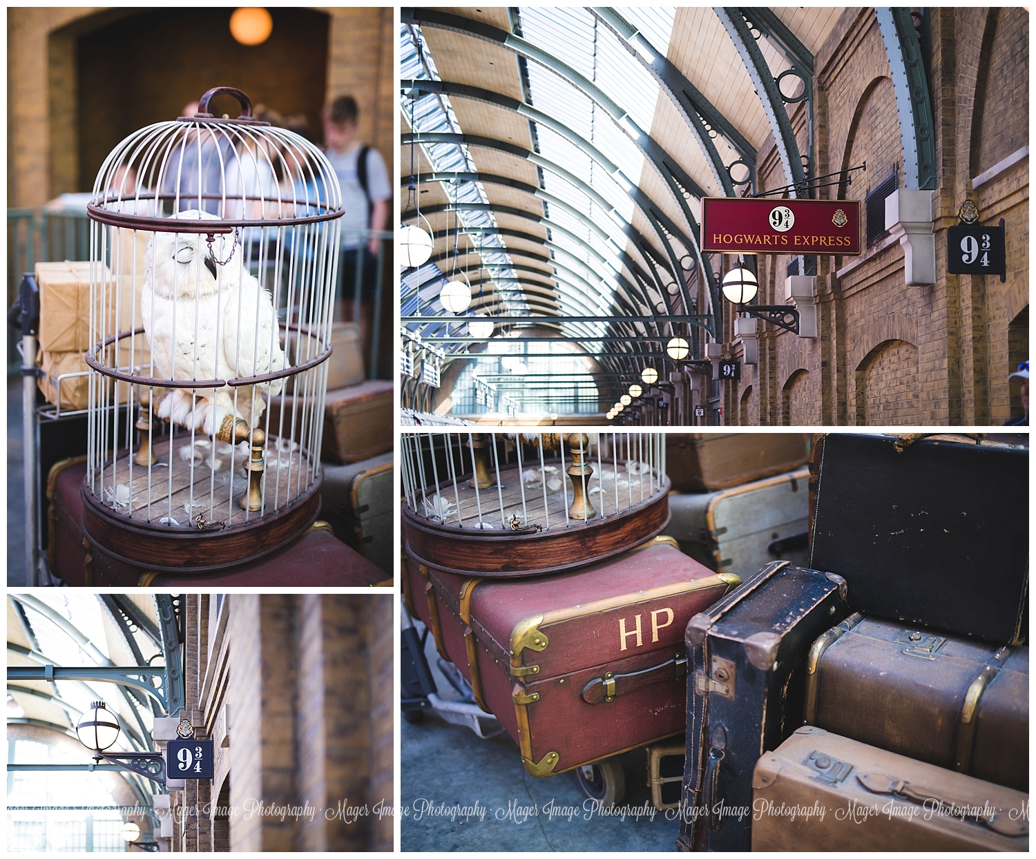 hedwig the owl suitcases