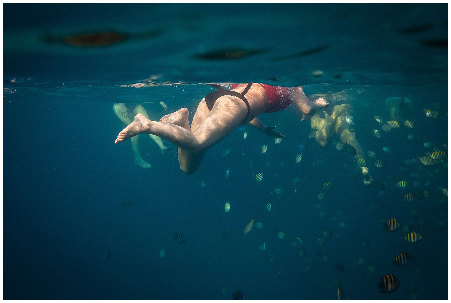 water ocean photography bathing suit