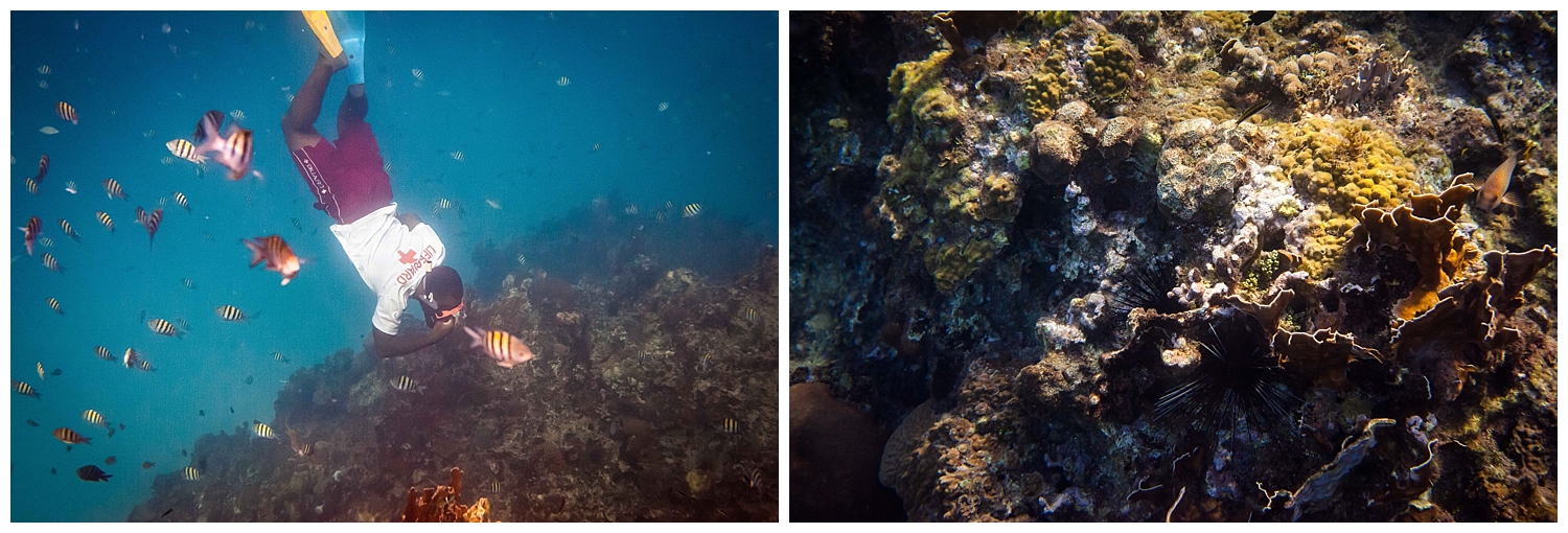 underwater photography ocean jamaican