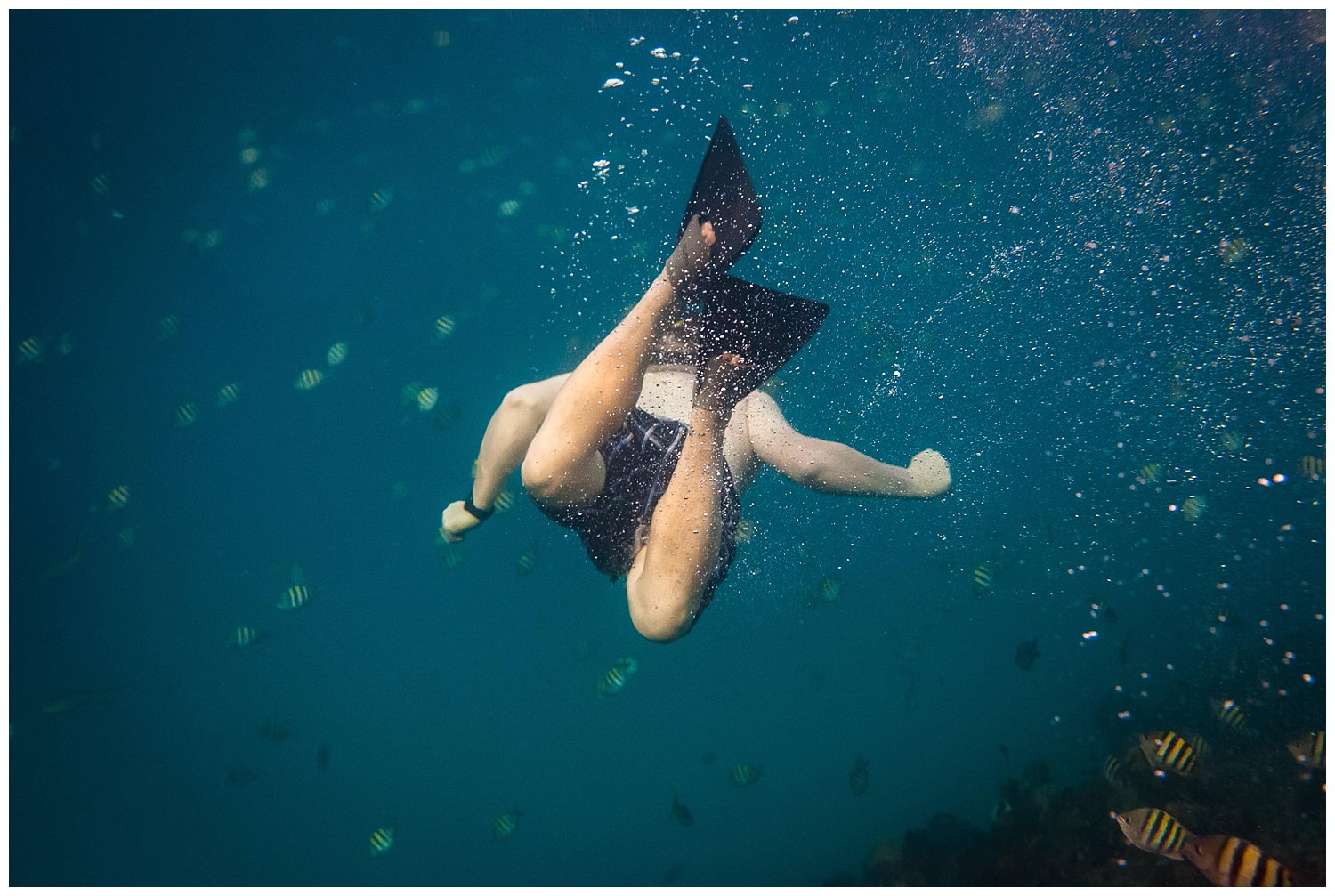 underwater snorkeling diving photography