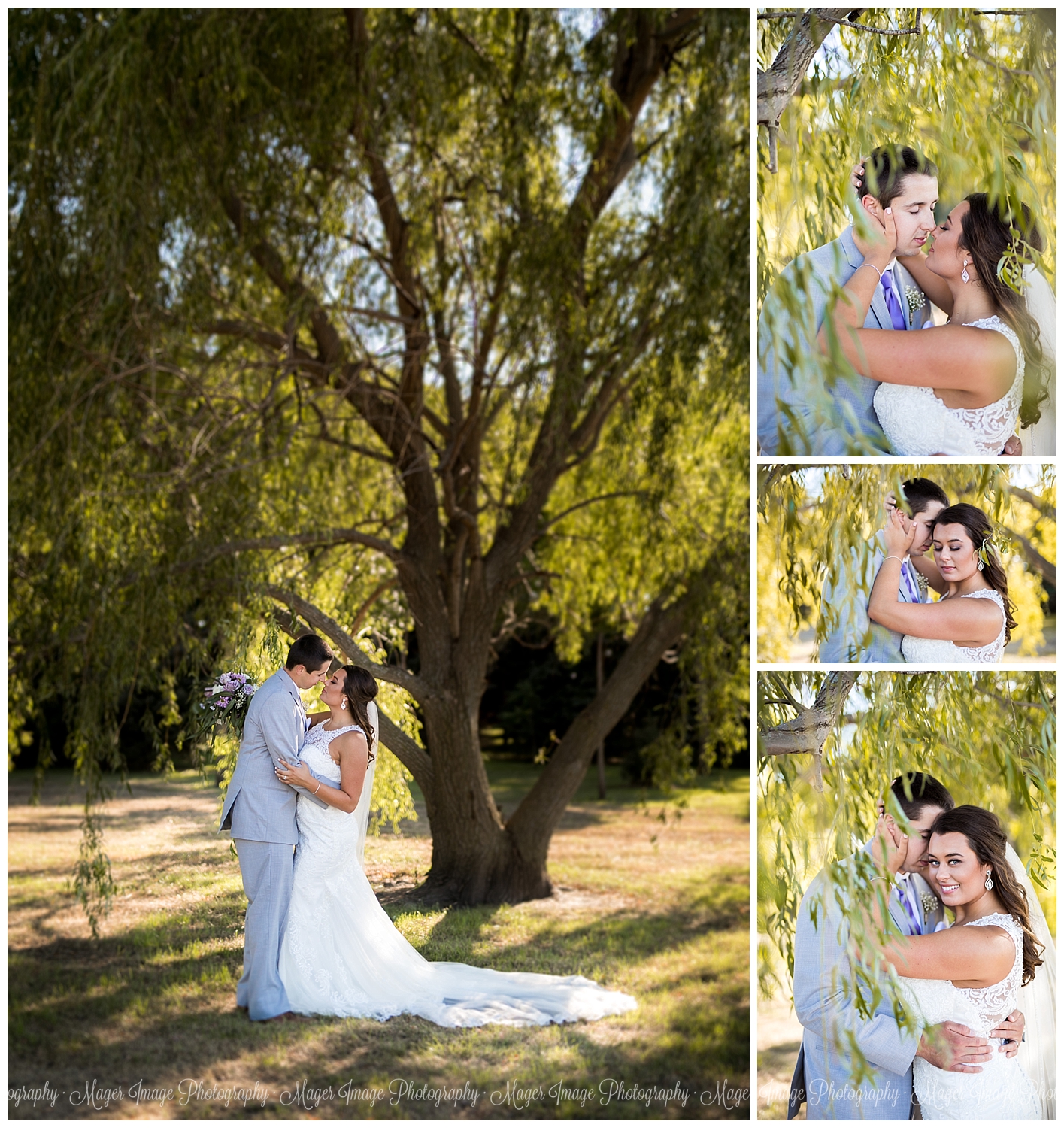 illinois photographer bride groom willow tree 