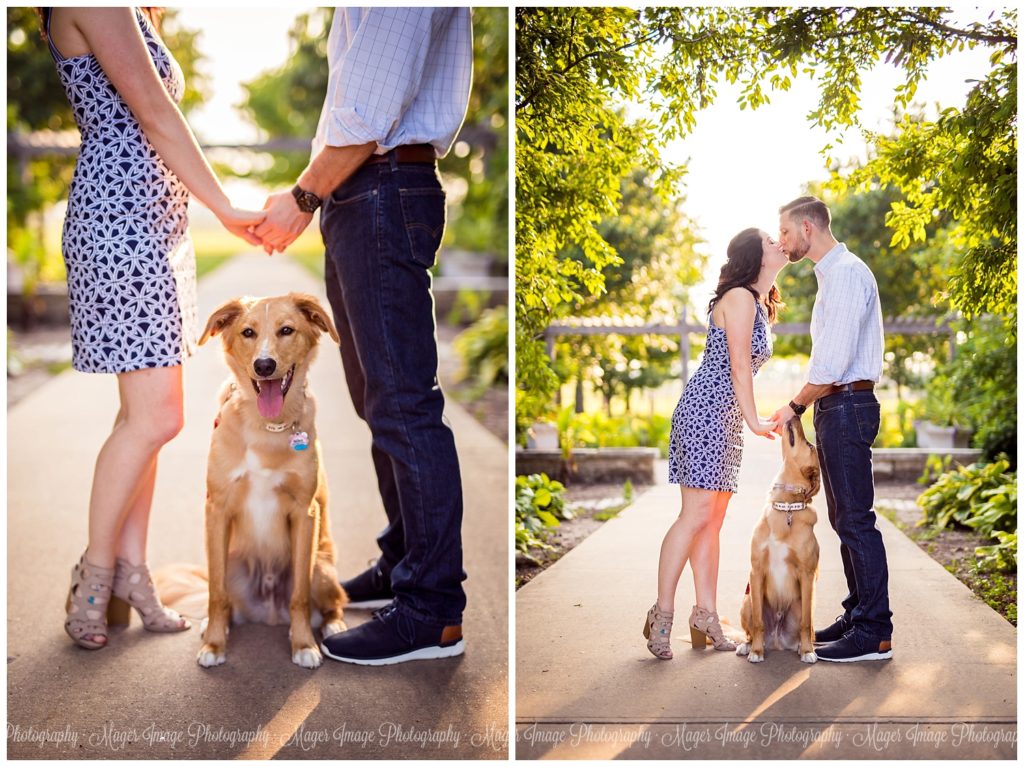 puppy engagement session