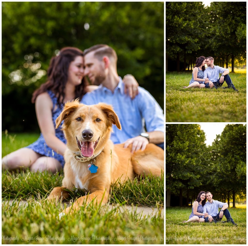 puppy love engagement session