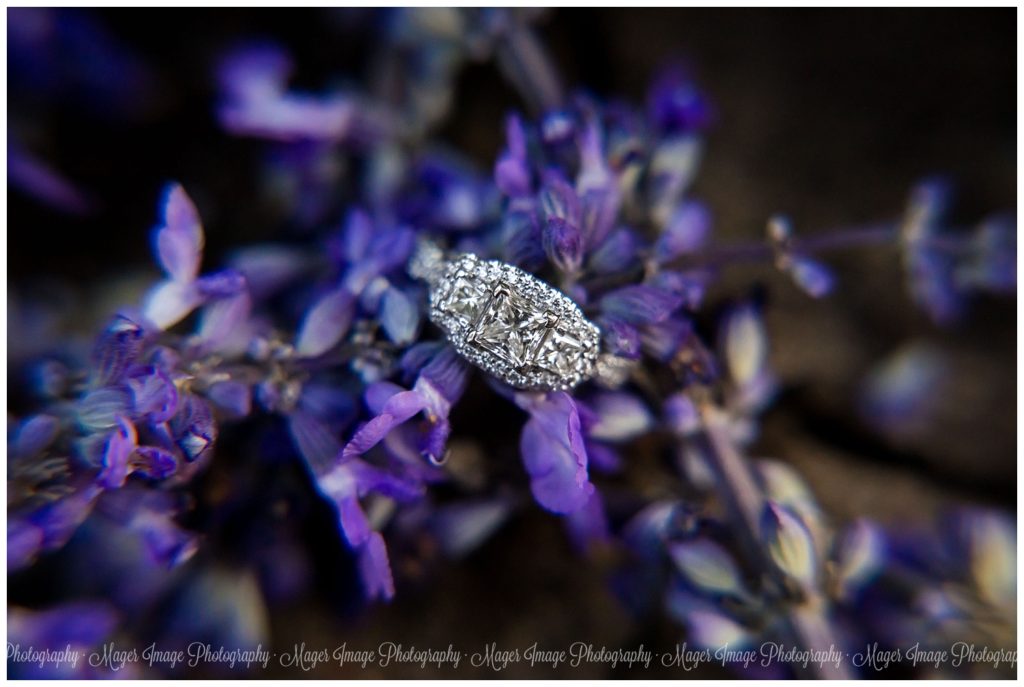 purple flower ring shots 