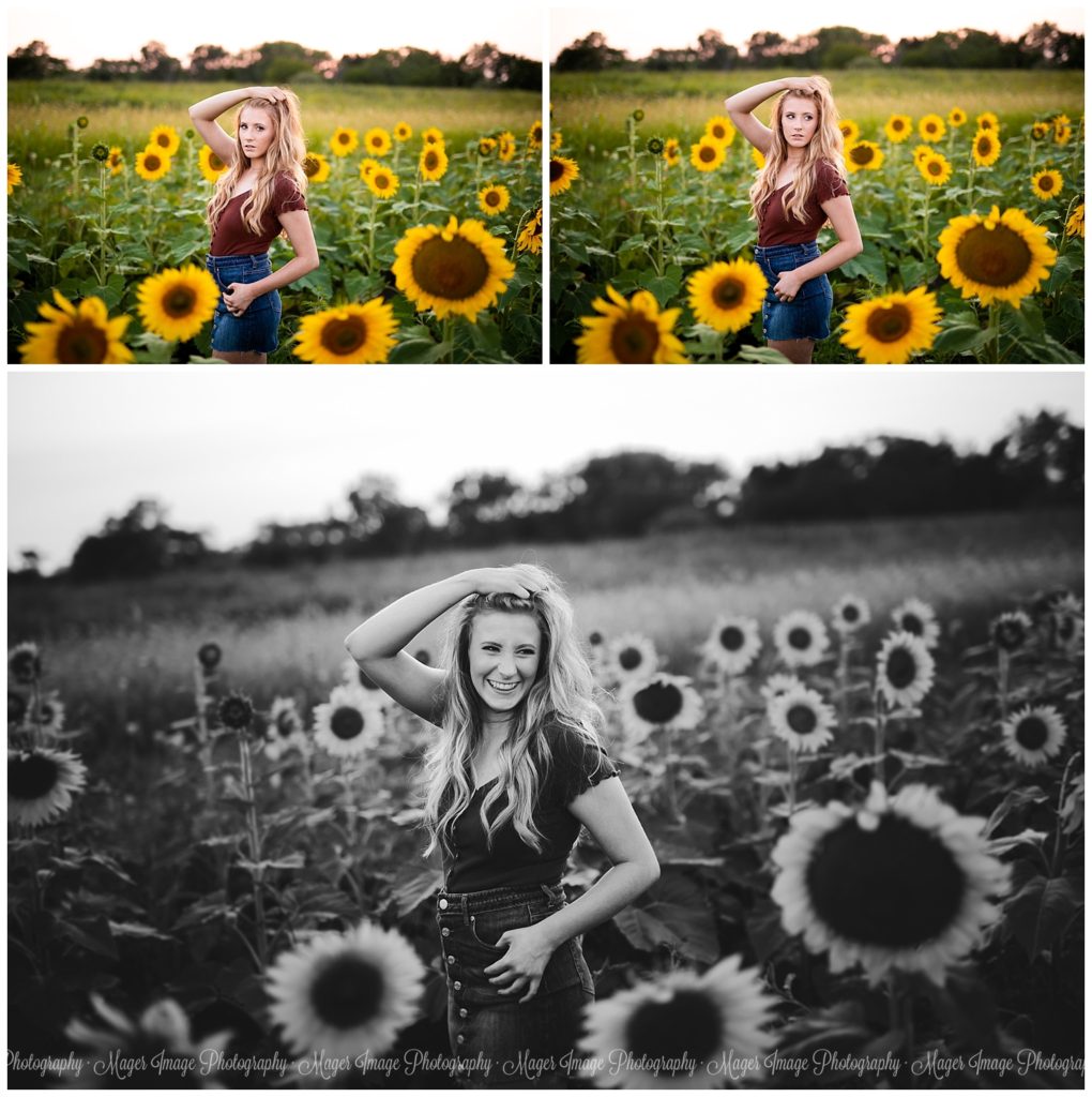 sunflower poses illinois photographer