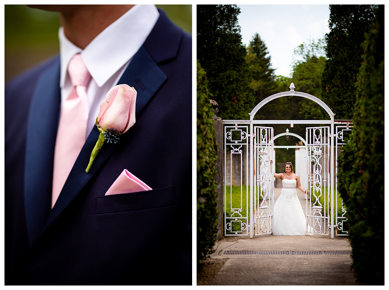 pink rose boutonniere