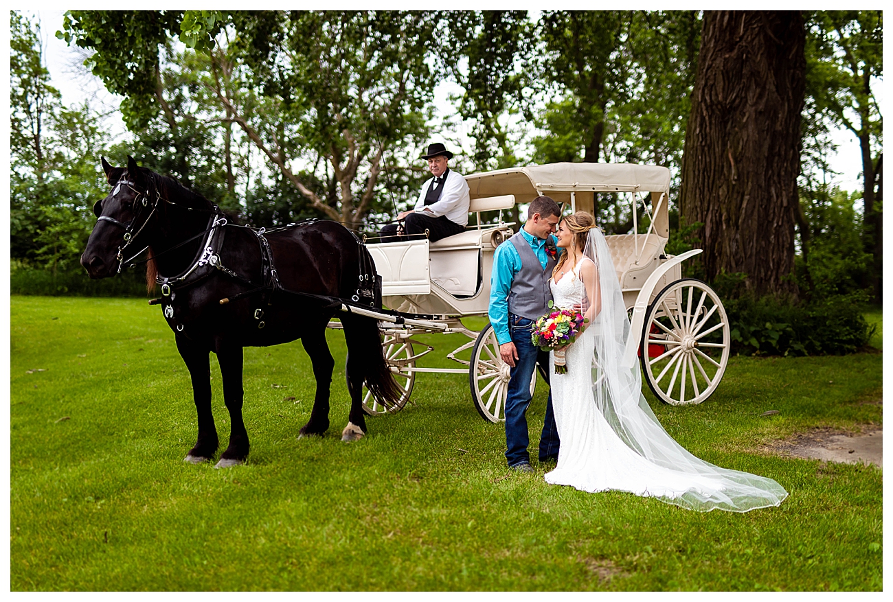 horse and carriage bridal portrait