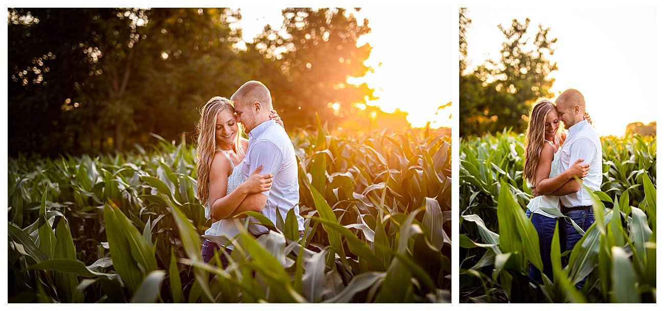 corn field sunset engagement photography