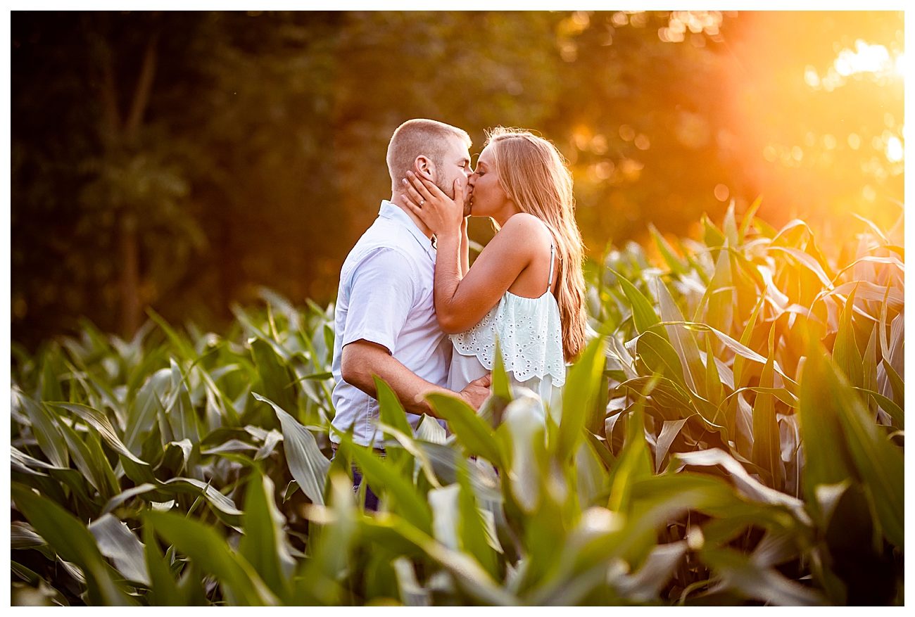 couple kissing in cornfield with sunset