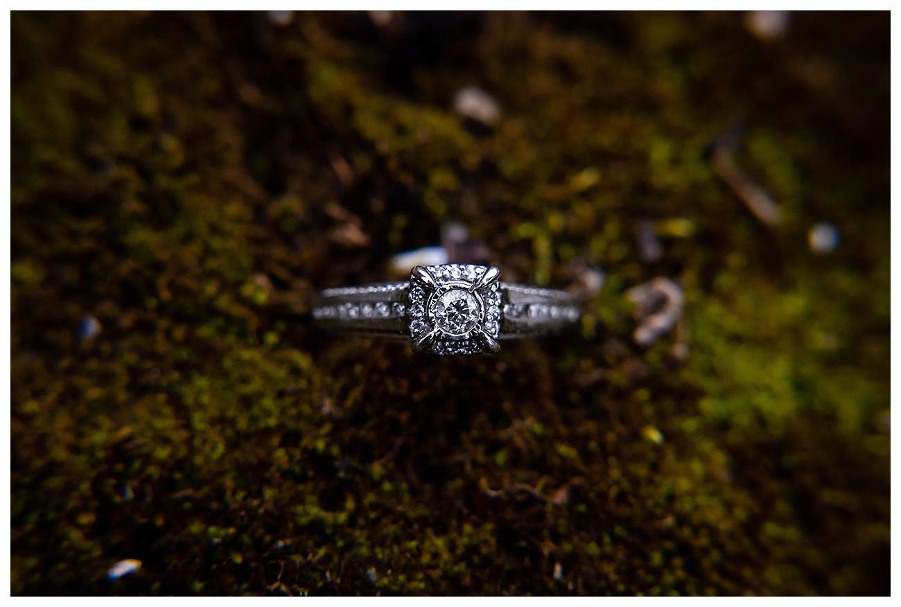 traditional engagement ring mossy background