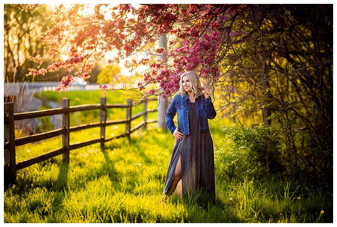 spring time blooming tree senior session