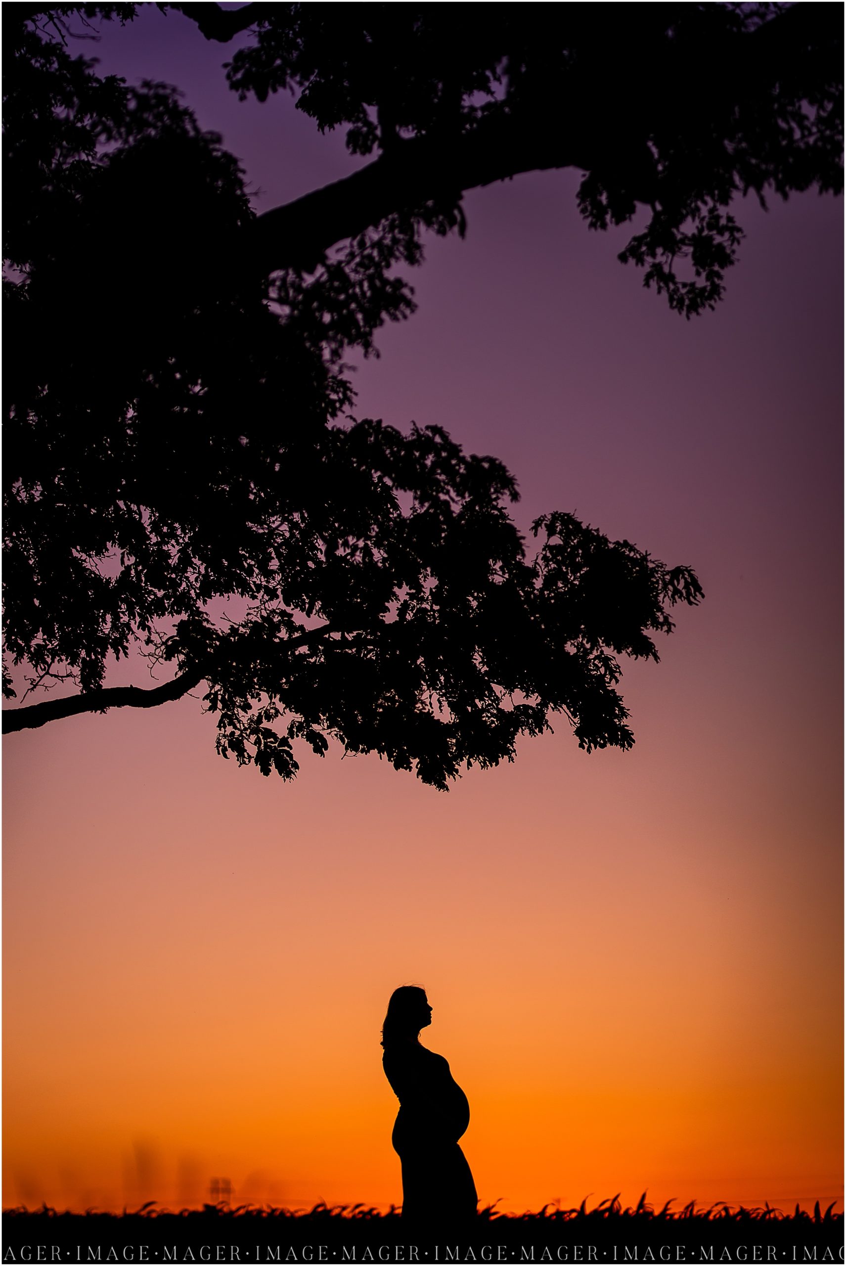 sunset summer maternity silhouette 