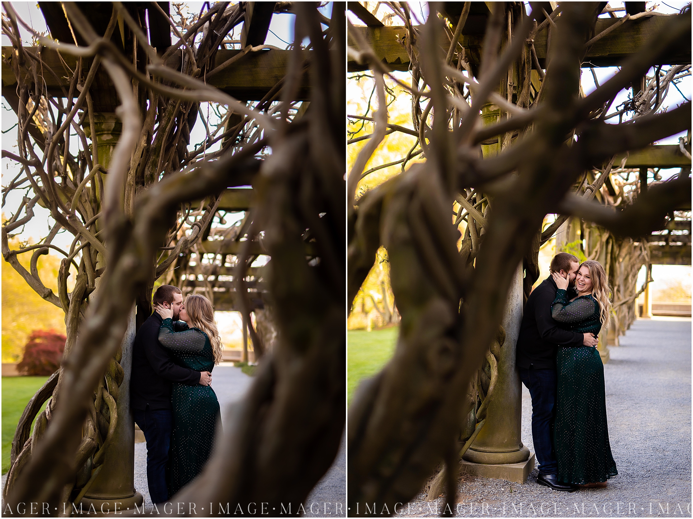 tree vines, Biltmore Winery, romantic edgy engagement session