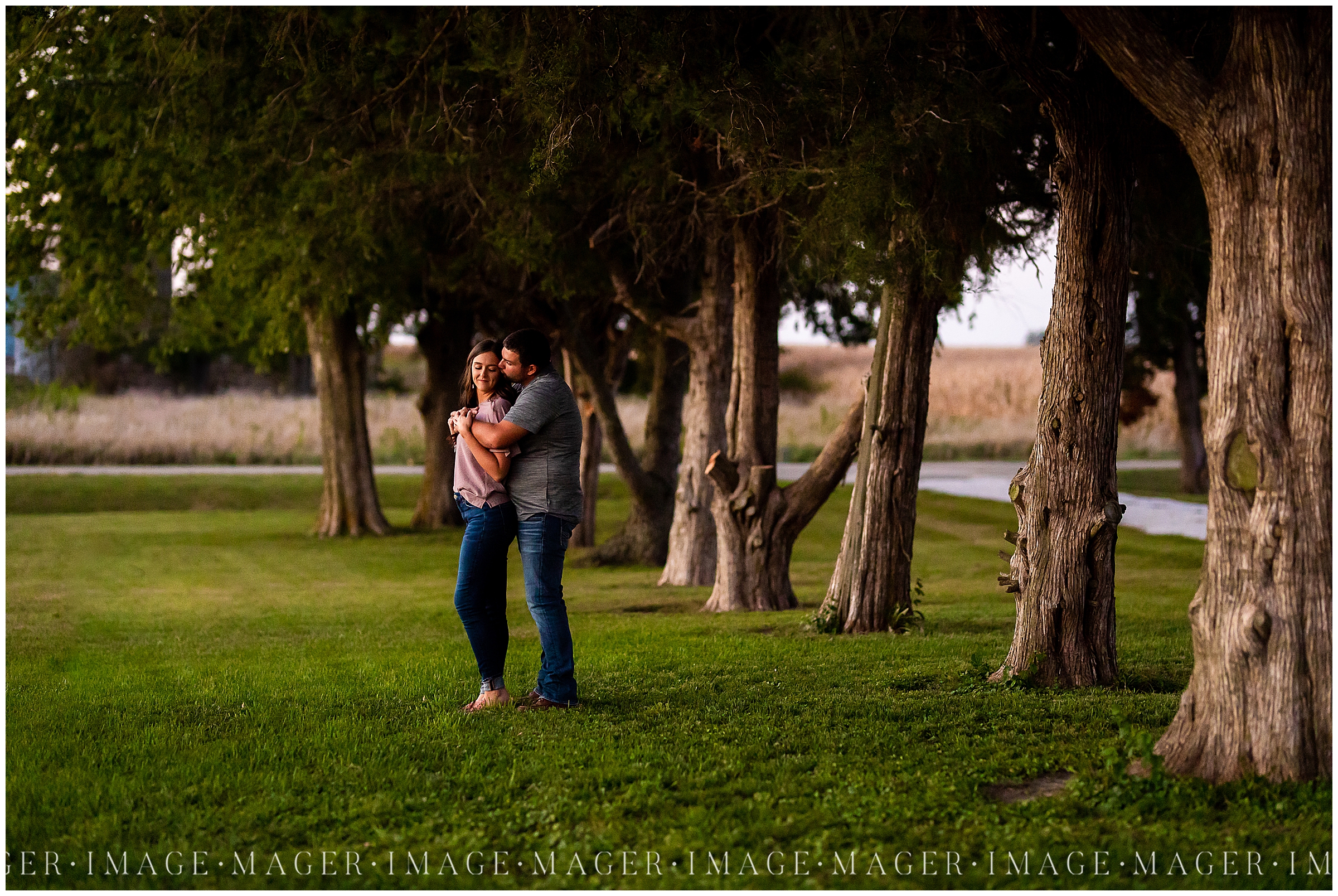 field-sunset-engagement-session-central-illinois-grass-fence-tree-linea