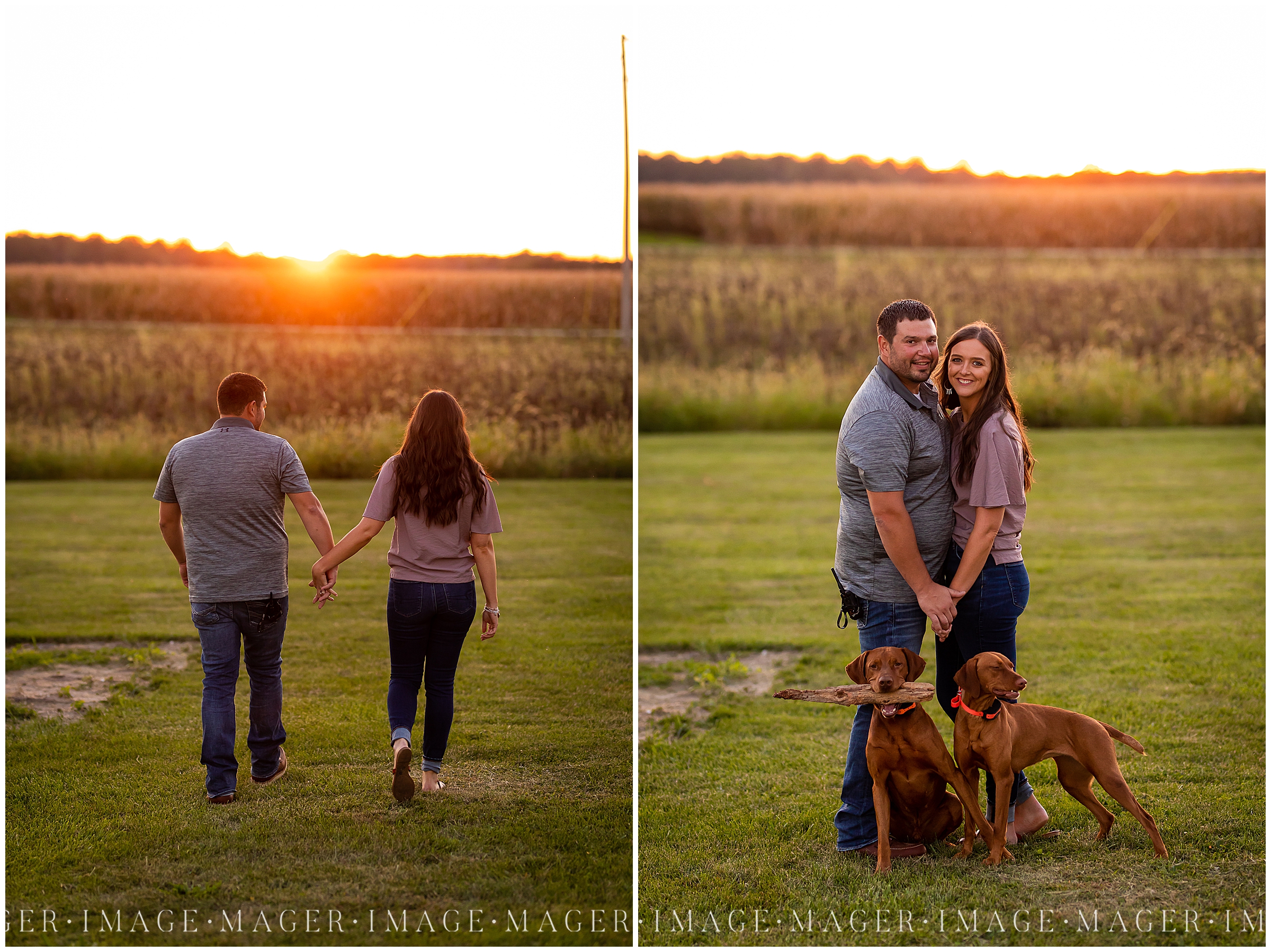 field-sunset-enagement-session-central-illinois-grass-fence-dogs