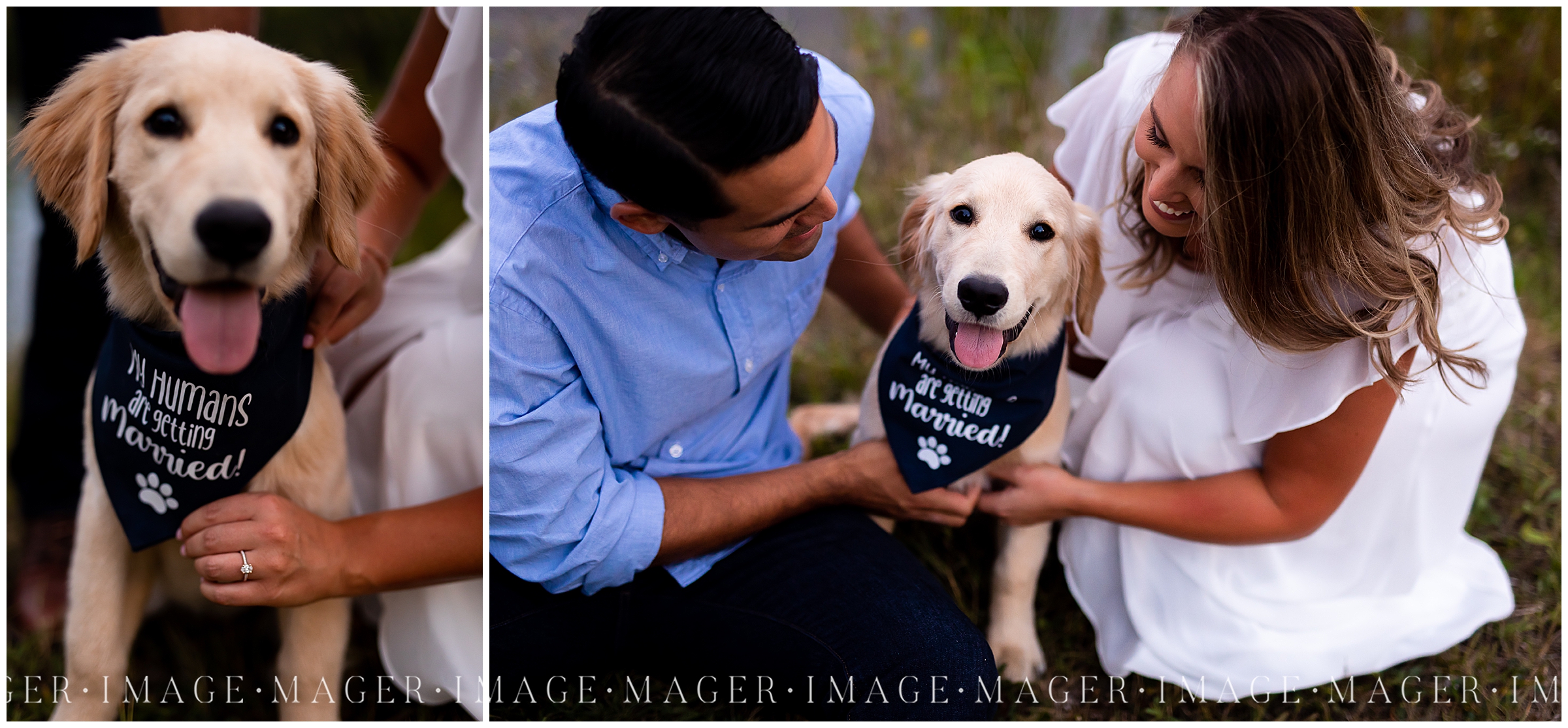puppy ring engagement session fur baby