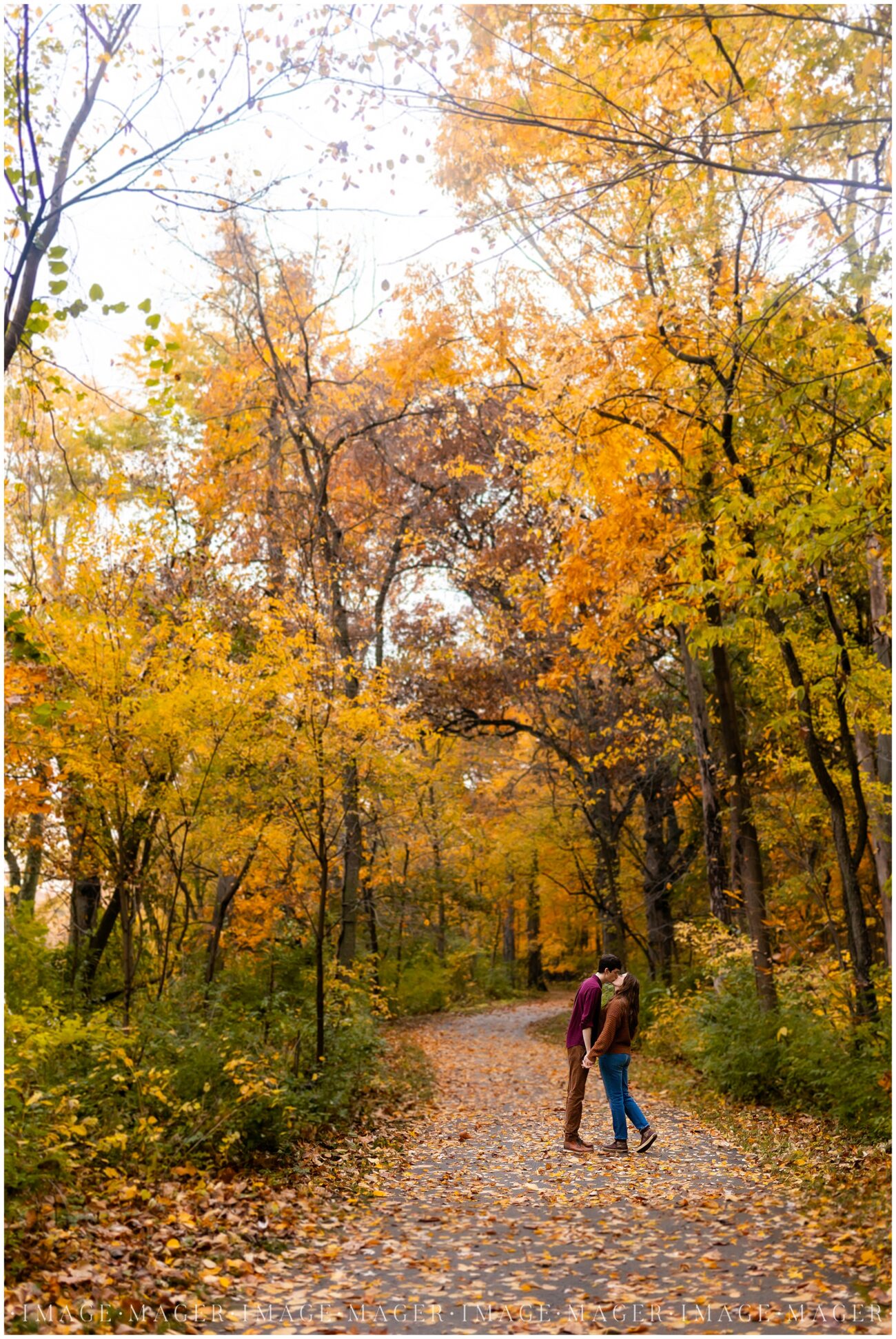 yellow green trees in fall engagement session north illinois destination