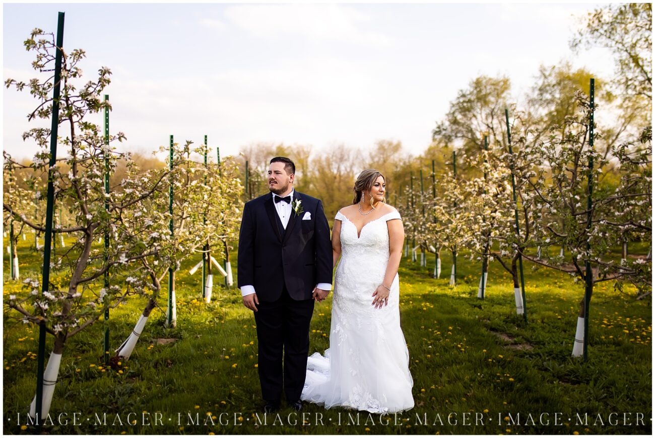 Chicagoland wedding photography orchard