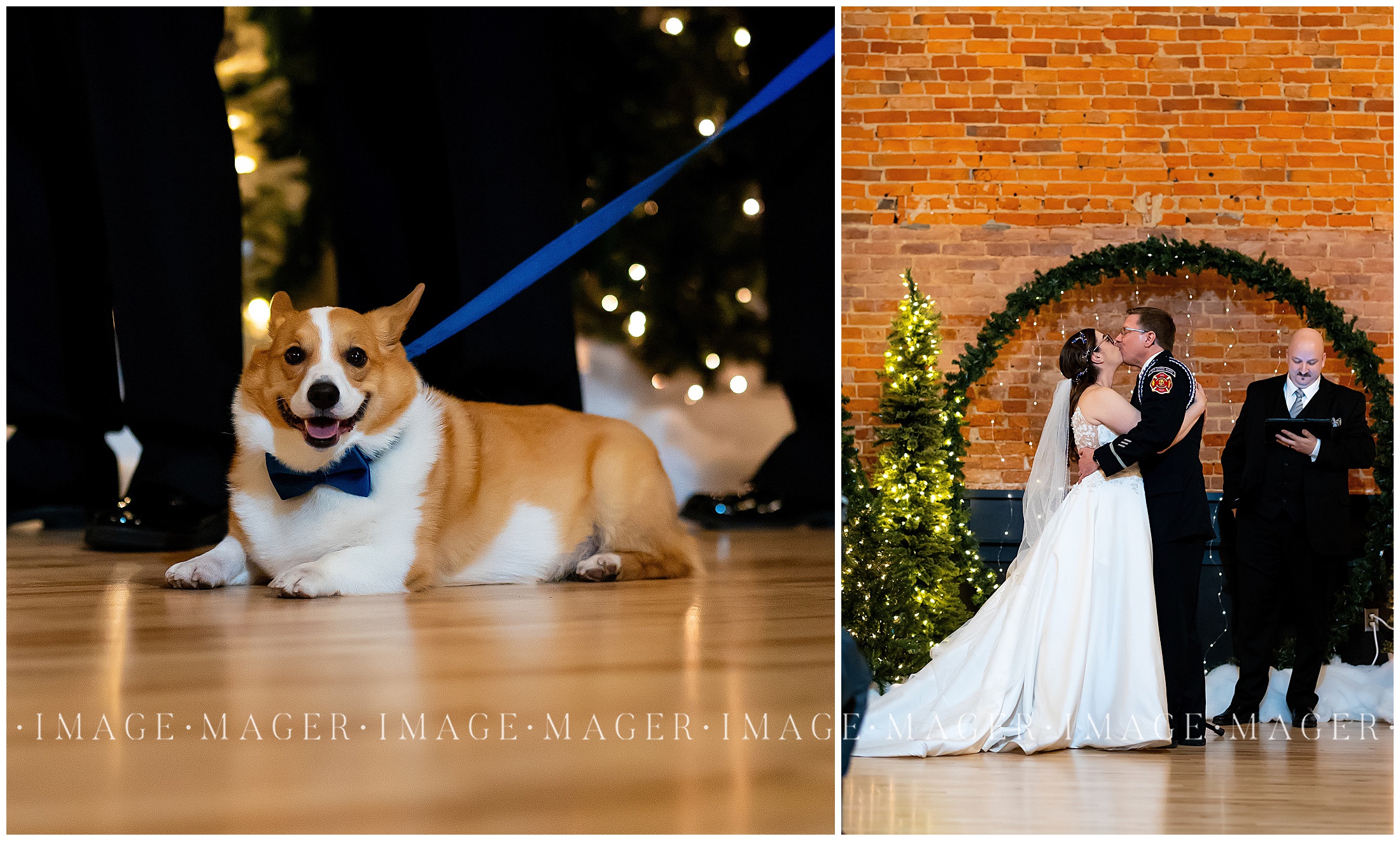 A dog smiles as its parents share their first kiss. 

The Venue CU, Champaign, IL

Photos by Mager Image Photography